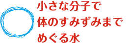 小さな分子で体のすみずみまでめぐる水