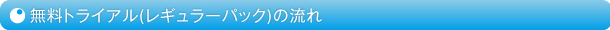 無料トライアル(レギュラーパック)の流れ